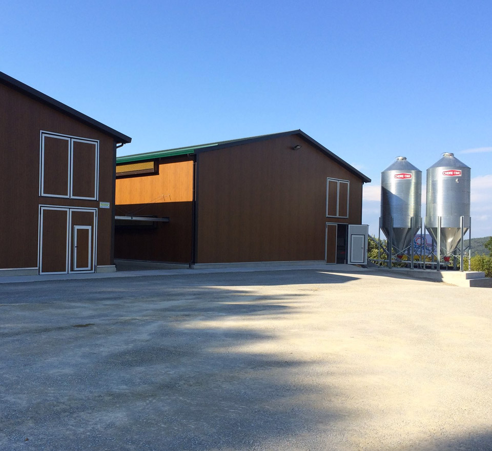 Realizzazione Capannone Avicolo